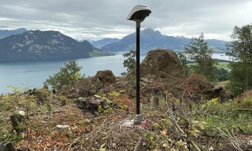Rutschung Windlochboden Weggis
