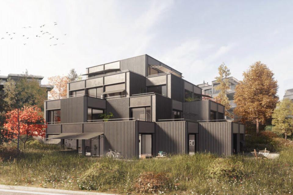 Neubau MFH Zollikon
