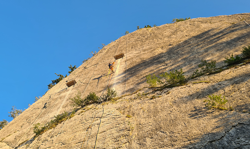 Schwindelfrei am Fels – Monitoring über dem Passwang